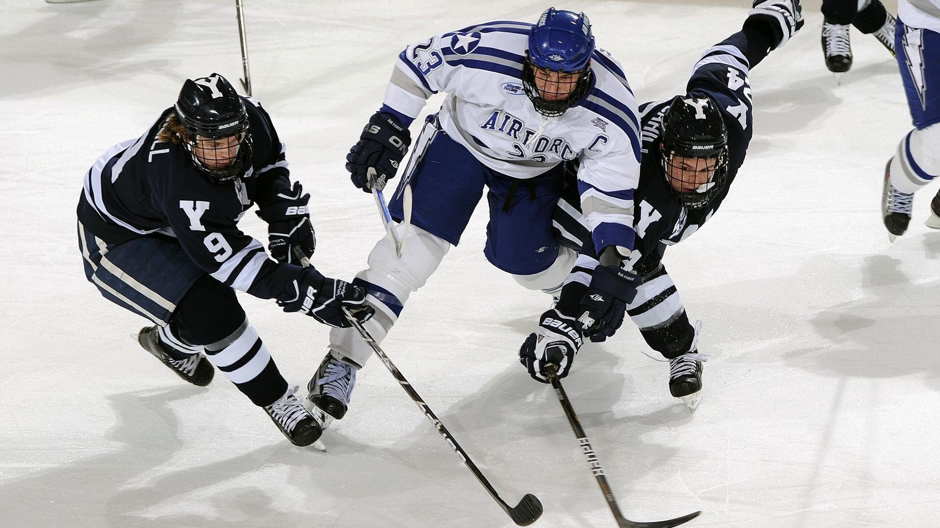 露营节飞盘大混战 玩家庭规则的飞盘赛成为营地最热项目